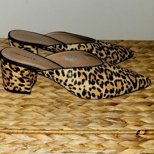 Leopard mules